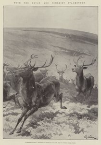 Com os Staghounds de Devon e Somerset